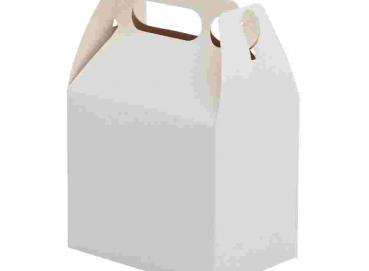 Sugarcane bagasse packaging Image