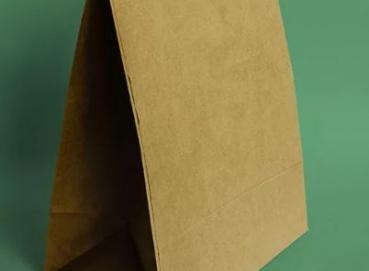 Kraft paper bags Image