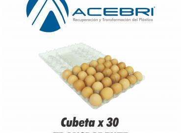 290 Egg Packaging x 30 - Transparent Image