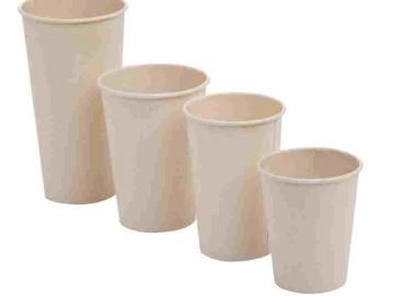 Sugarcane bagasse  cups Image