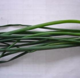 Chives