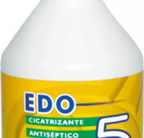 EDO 5