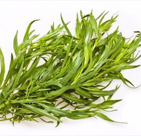 Tarragon