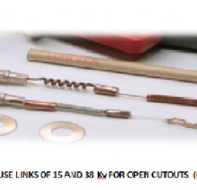 Our principal products are four (4) families of :  Over Current Protection  ´-  Fuses   (medium and Low Tension)       Fuse link