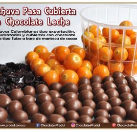 Uchuvas covered with chocolate