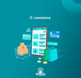Professional E-commerce