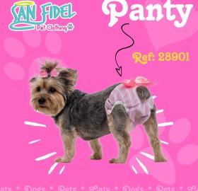Panty for pets Female