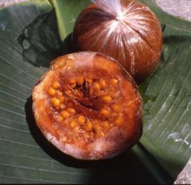 Borojo Fruit Powder or Snack