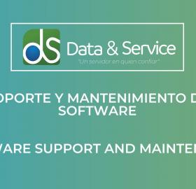 Software support and maintenance