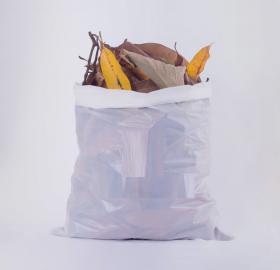 Bolsas en almidón de yuca