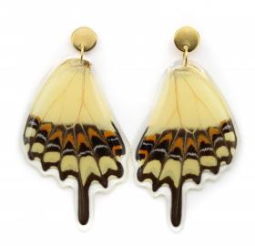 wing earrings thoas butterfly