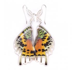 filigree earrings - rainbow sunset moth