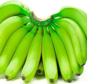 Banano Cavendish