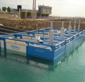 Axial Floating Pumps