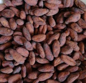 Cacao en grano nativo del Meta