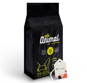 Animal Specialty Coffee