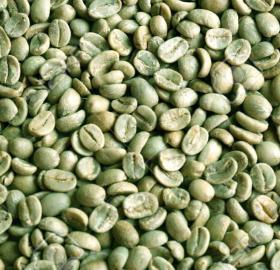 Micro lotes de Café Especial en verde