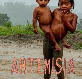 Artemisia (cortometraje documental/animación)