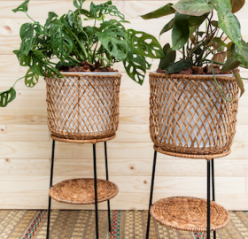 Hand-woven wicker art plant stands