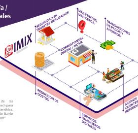 Agent Networks as a Service