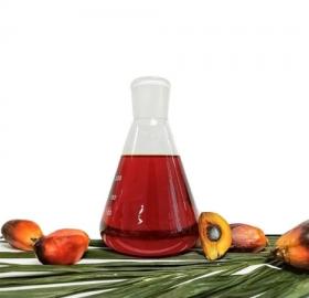 Palm Kernel oil RBD