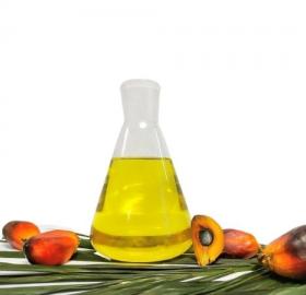 Palm Oil RBD