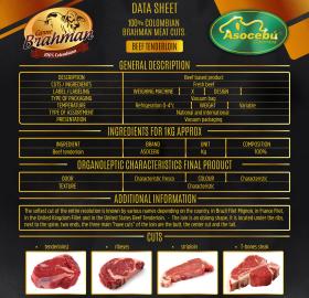 Carne bovina