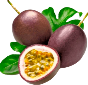 GULUPA -  Passiflora edulis