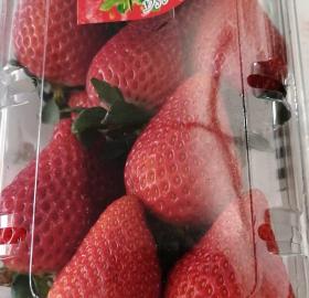 Fresh and Frozen Strawberry