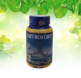 Artrofort