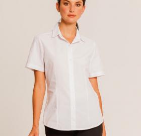 Women's Oxford Shirt Short Sleeve and Long Sleeve 