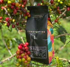 Traditional roasted specialty coffee beans or ground x 500 gr