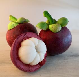 Mangosteen