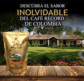 One of five most renowned coffee from the world.