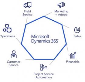 Dynamics 365 consulting