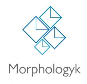 Morphologyk  Estudio de usos, hábitos, actitudes y preferencias.