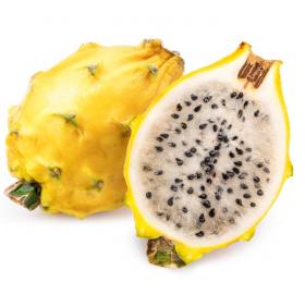 Pitahaya or Yellow Dragon Fruit