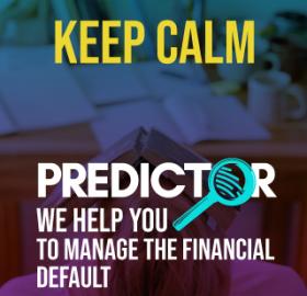 PREDICTOR - Financial default prediction