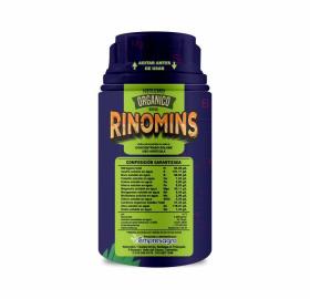 Rinomins