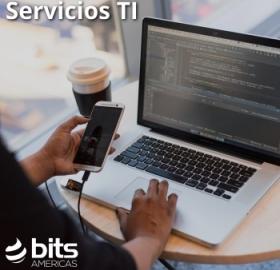  IT services