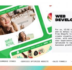 Web Development and E-commerce consulting services