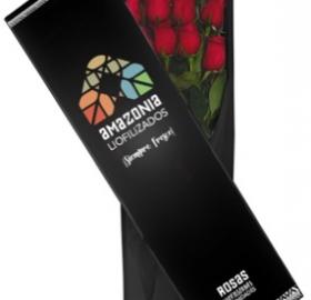 Freeze Dried Roses.