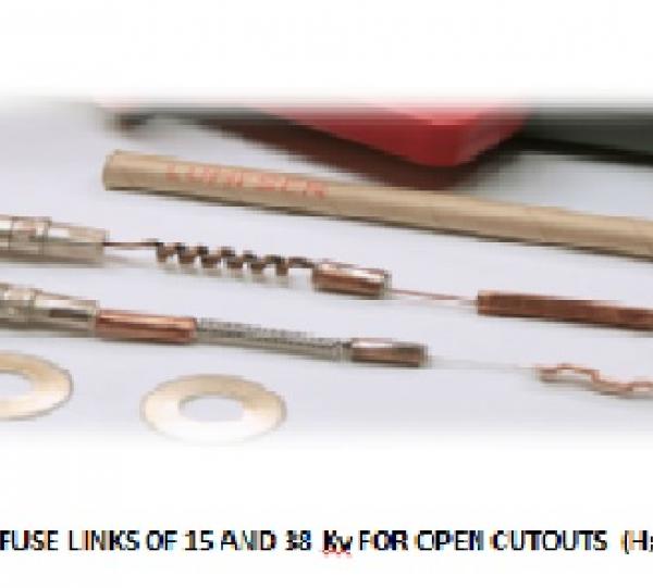 Nuestros Products principales, por familias son cuatro (04) : Protección para Sobre corrientes Fusibles para 15 a 38 KV
