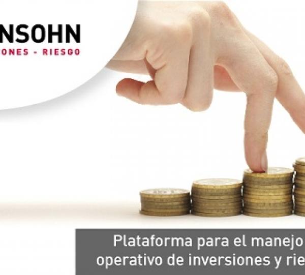 Heinsohn inversiones