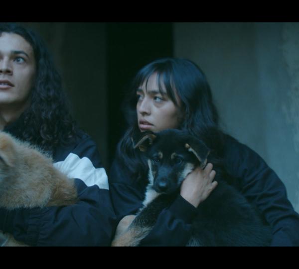 Laika in the stars Image