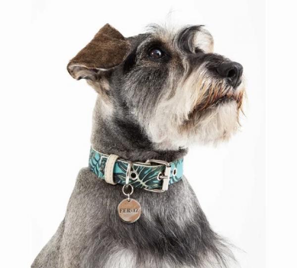 Canvas and Vegan Leather Collar - SAVAGE Collection Image