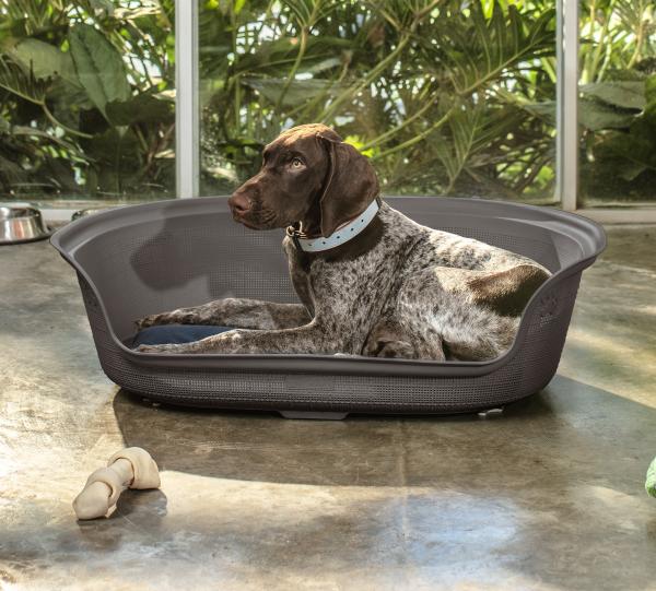 Rimax Dog Resin Bed Image
