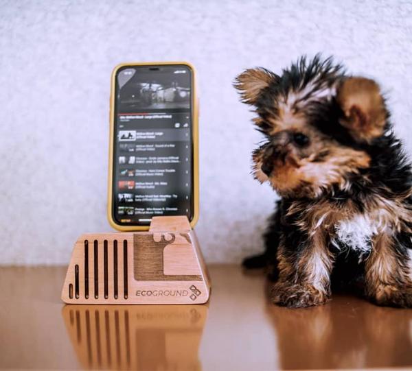 Acoustic Amplifier for Cell Phones AmpM02 Image