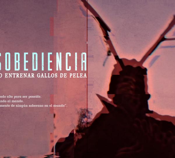 Mowie Disobedience or how to train fighting roosters Image