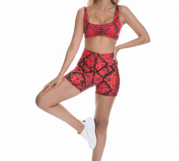 2011 High v-waist short Image